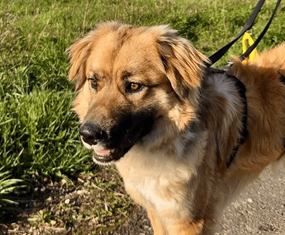 2026 04 01 15 21 36 SPOT # OneIT 2026 Microsoft Teams