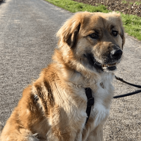 2026 04 01 15 21 40 SPOT # OneIT 2026 Microsoft Teams