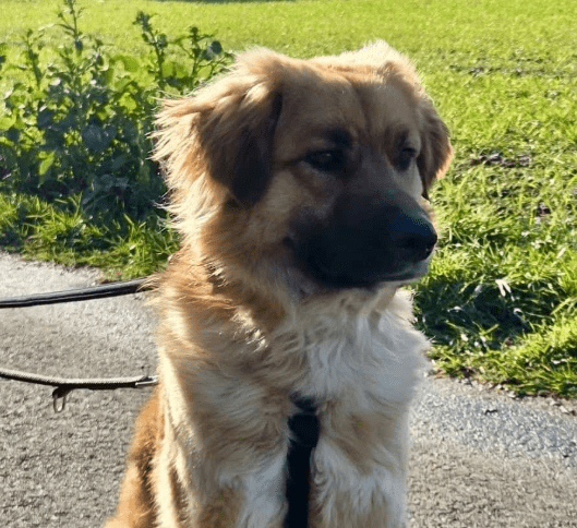 2026 04 01 15 21 45 SPOT # OneIT 2026 Microsoft Teams