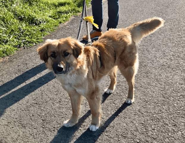 2026 04 01 15 21 50 SPOT # OneIT 2026 Microsoft Teams