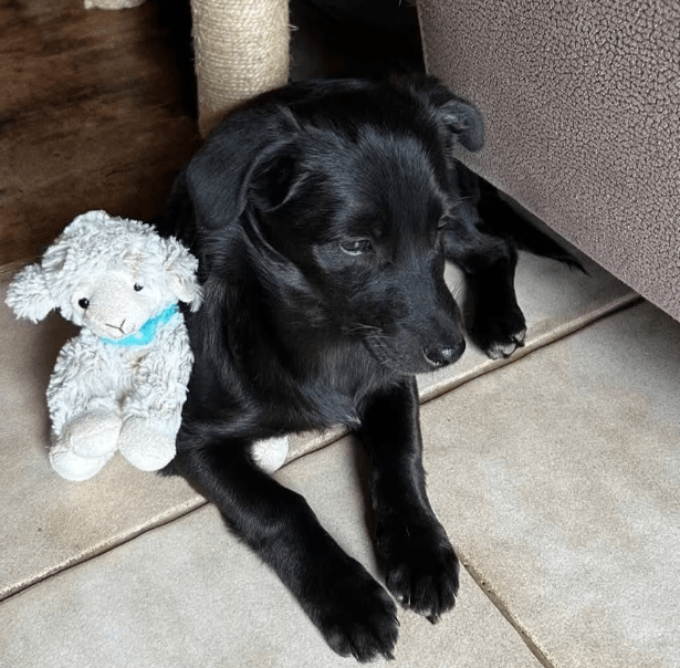 2026 04 06 15 02 17 Posteingang Sina.Rieke Kroeger@oetker.com Outlook