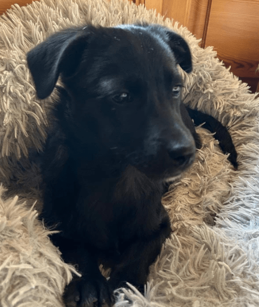 2026 04 06 15 02 21 Posteingang Sina.Rieke Kroeger@oetker.com Outlook