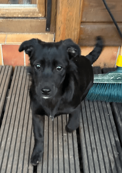 2026 04 06 15 02 26 Posteingang Sina.Rieke Kroeger@oetker.com Outlook