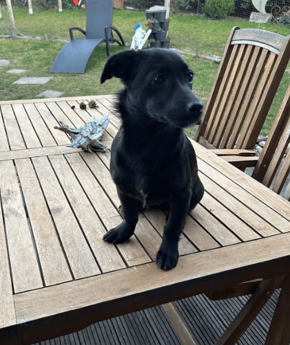 2026 04 06 15 02 31 Posteingang Sina.Rieke Kroeger@oetker.com Outlook