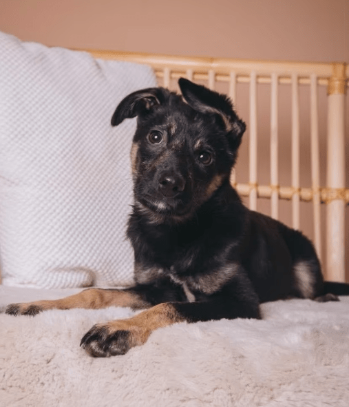 2026 04 13 10 16 43 Posteingang Sina.Rieke Kroeger@oetker.com Outlook