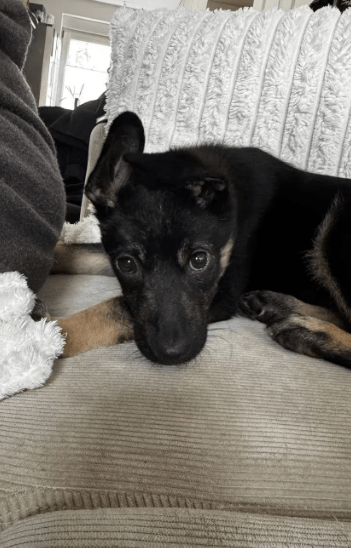 2026 04 13 10 16 47 Posteingang Sina.Rieke Kroeger@oetker.com Outlook