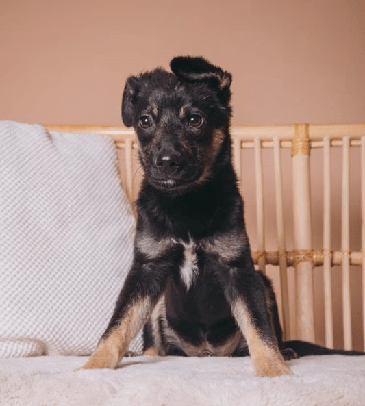 2026 04 13 10 16 50 Posteingang Sina.Rieke Kroeger@oetker.com Outlook