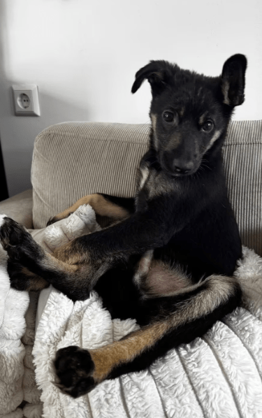 2026 04 13 10 16 54 Posteingang Sina.Rieke Kroeger@oetker.com Outlook