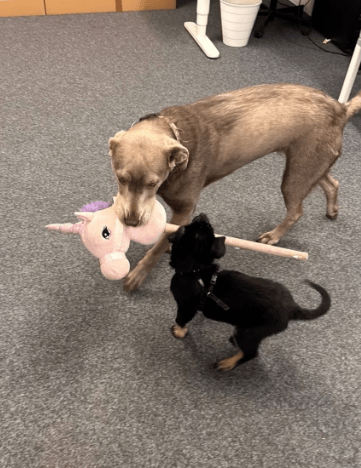 2026 04 13 10 16 58 Posteingang Sina.Rieke Kroeger@oetker.com Outlook