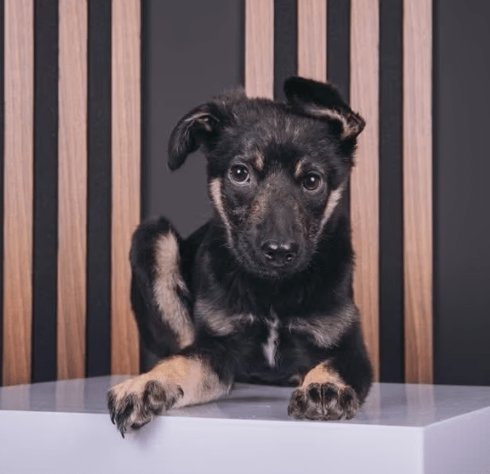 2026 04 13 10 17 01 Posteingang Sina.Rieke Kroeger@oetker.com Outlook