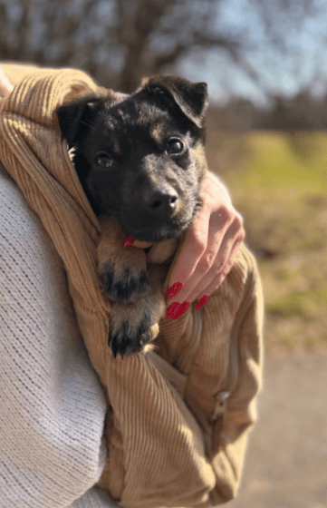 2026 04 13 10 17 06 Posteingang Sina.Rieke Kroeger@oetker.com Outlook