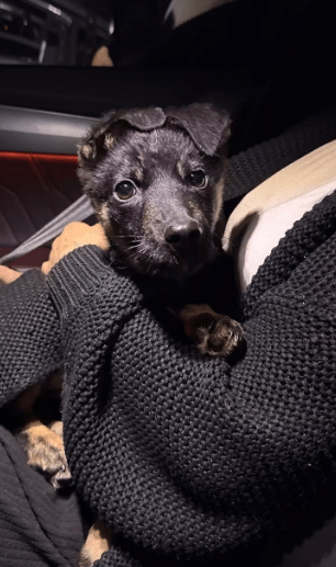 2026 04 13 10 17 11 Posteingang Sina.Rieke Kroeger@oetker.com Outlook