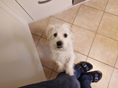 20260221 105129 copy 1000x750 copy 500x375