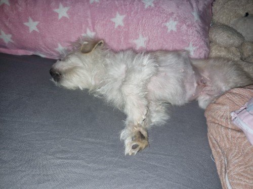 20260221 212053 copy 1000x750 copy 500x375