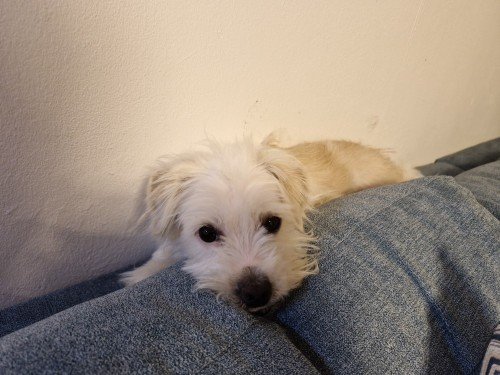 20260222 180028 copy 1000x750 copy 500x375