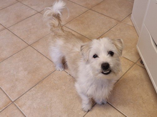 20260223 115109 copy 1000x750 copy 500x375