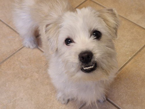 20260223 115120 copy 1000x750 copy 500x375