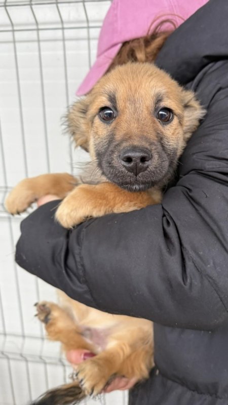 2a7c6abd 64f8 4d54 b83b 08b387e7a29a