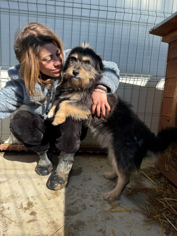 2d0423cf a2d6 4741 97d3 d15f58a337b6