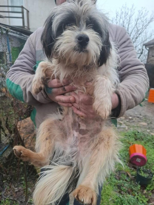 313cee6c 7752 4367 88fc d9e862605688