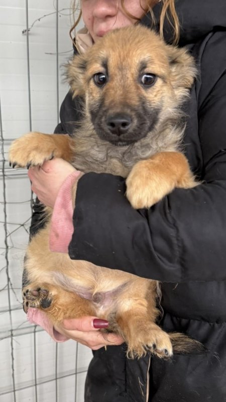 3677c96a 8228 4bcf bc44 dbe1f2214557