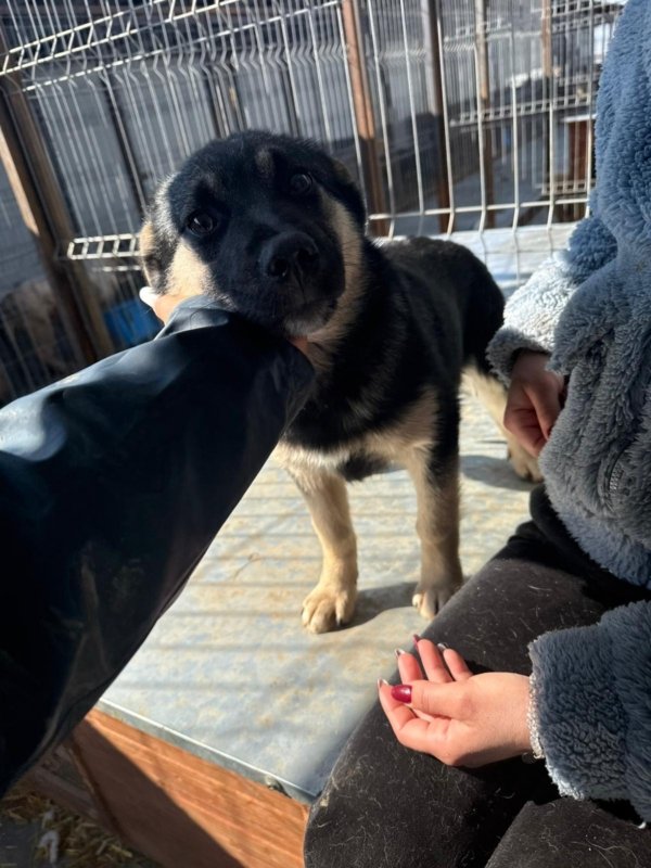 3e327c22 4441 411b 9b73 77fc9576c309