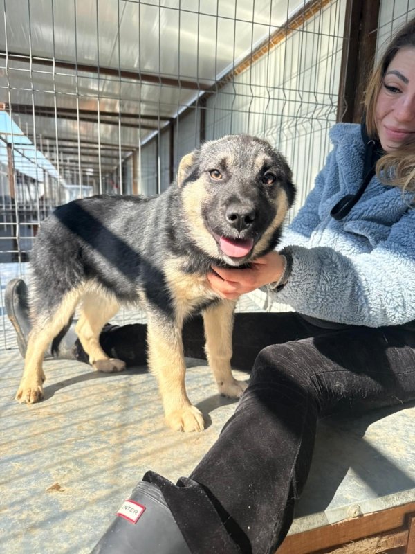 3e438711 9de1 443c 93cf a48890993e45