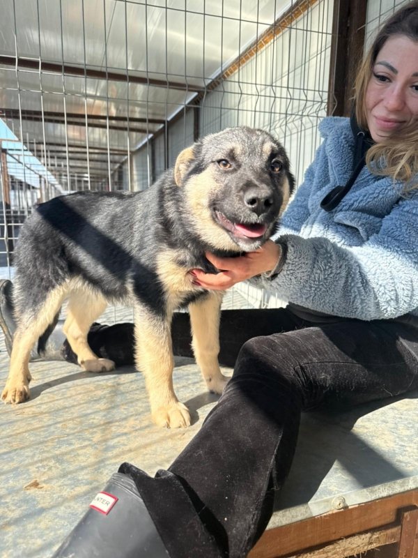 4082b653 f35e 40c9 8d17 ebe9090d2330