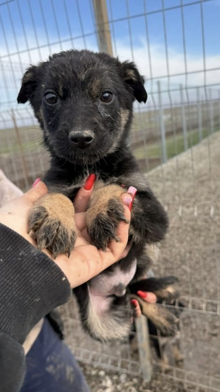 4b04af55 ccf9 4d32 92af f1e2cbb87cf1