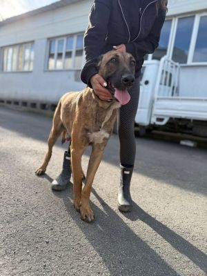 557633809 24824400397200553 2334026266375980509 n