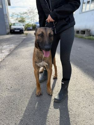 558982969 24824399750533951 5843427037785975606 n