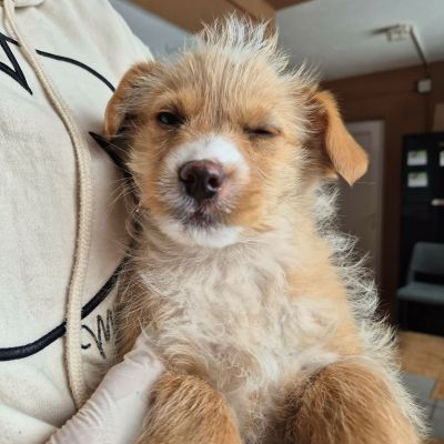 598663360 2085237898908820 7175654213974186541 n