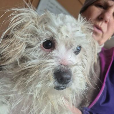 598667553 1436876168080232 9162300462221715909 n