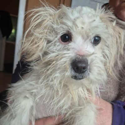 598878709 1377409056966775 2597990605884670104 n