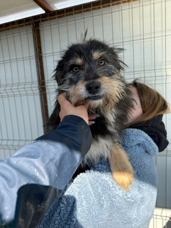 5ec50595 4e00 4fa5 8fca 6a35ad925bb6