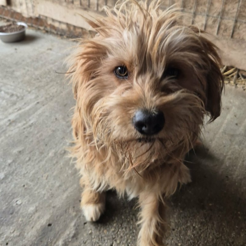 606988165 917445037462769 480703124971935508 n