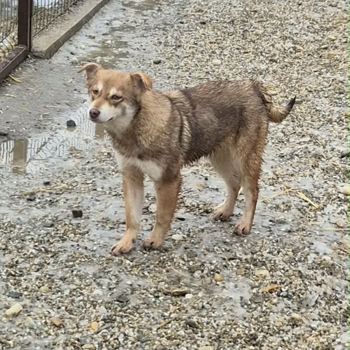 607494501 1613740319659511 792168432114531080 n