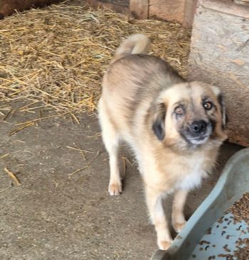 608730592 1204104961533870 4505431751204073413 n