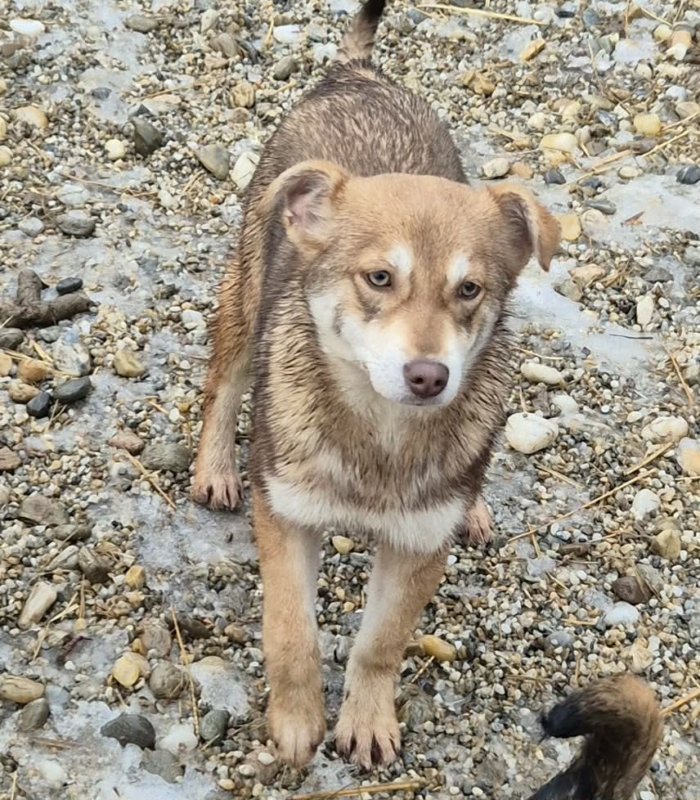 608827346 1382098979806689 8817186180839632855 n