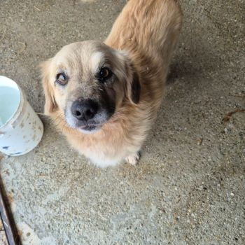 610608217 1492154572586303 96690838677046036 n