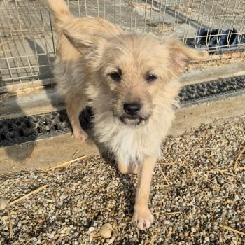 610763039 917154360778062 1118316398812098964 n