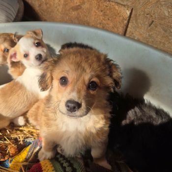 610782959 1410308273888553 6199322427540437889 n