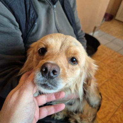 610823265 891228953614804 7093763897588880646 n