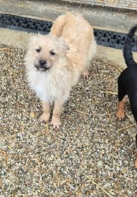 610965677 2092118898188707 2179455827993032612 n