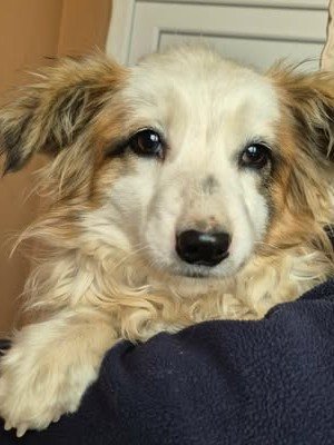 615954354 25759234250383825 2308121240002485660 n