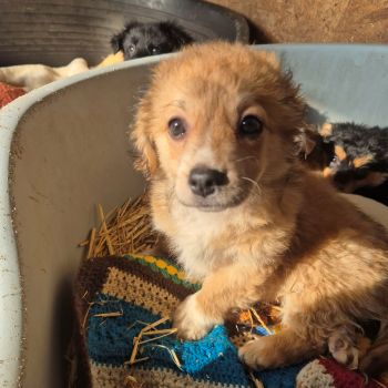 616053220 926262450353011 7546945333203432446 n