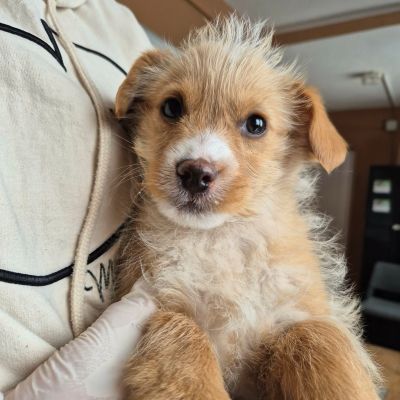 616077042 2067184717461943 5363342128609763954 n