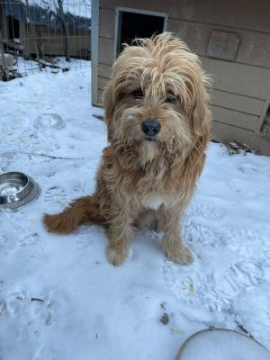 617424353 25797250879915495 5125154892529719067 n