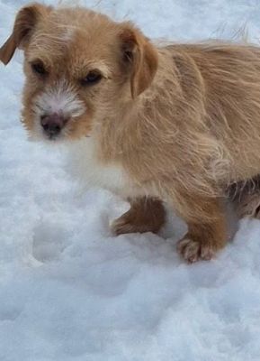 617477324 1164826975574196 5181479150948148347 n