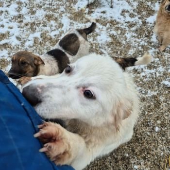 617619042 1421462076117001 5461995562141424905 n